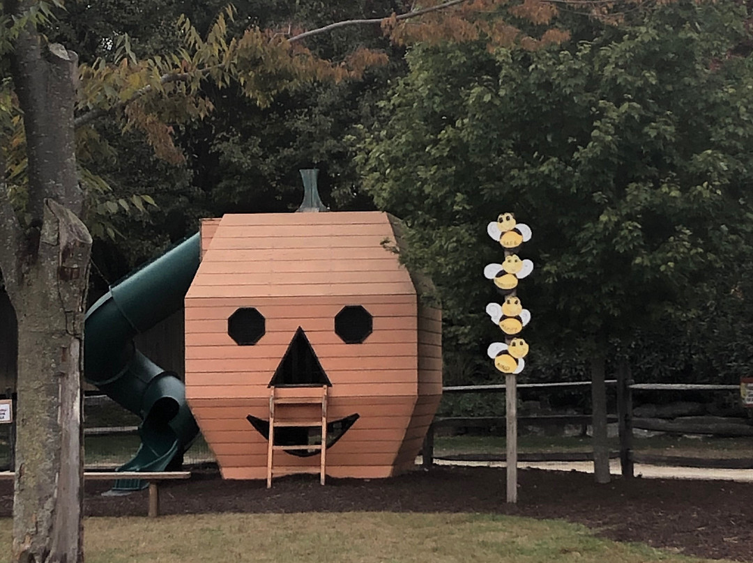 Corn Cob Acres Field of Fun-Mountville必去景点