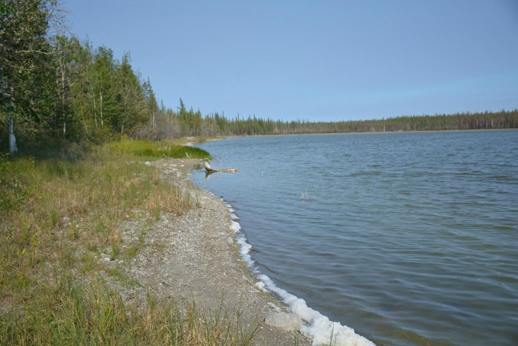 Chan Lake Territorial Park Day Use Area