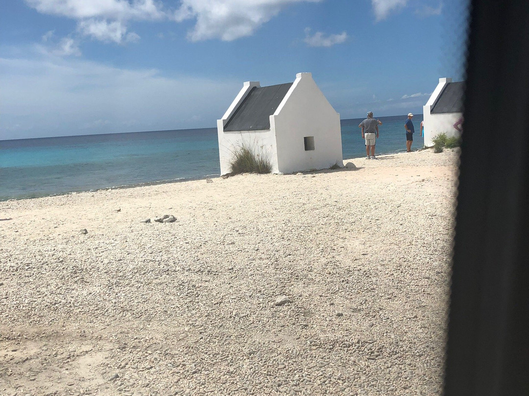 Bonaire Tours & Vacations-Kralendijk必去景点