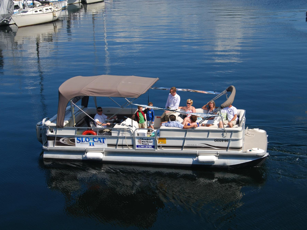 SloCat Harbour Tours景点图片