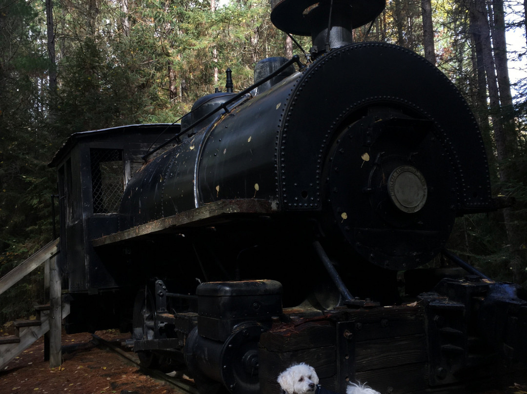 Algonquin Logging Museum Trail景点图片