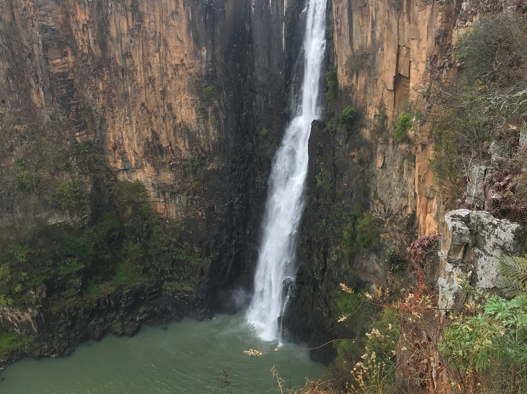 Howick Falls-豪威克必去景点