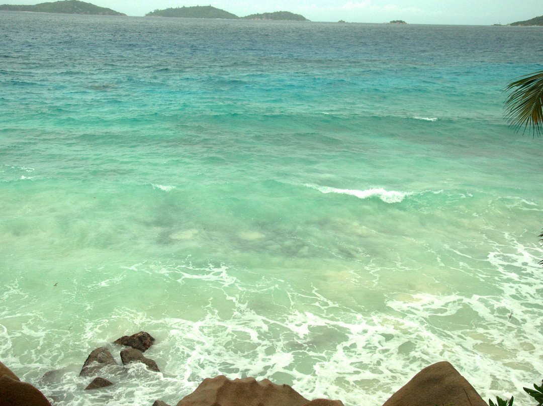 Bernique Guesthouse主图