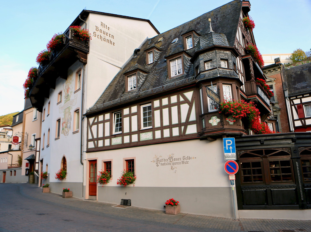 老布尔恩斯汉克山上酒店主图