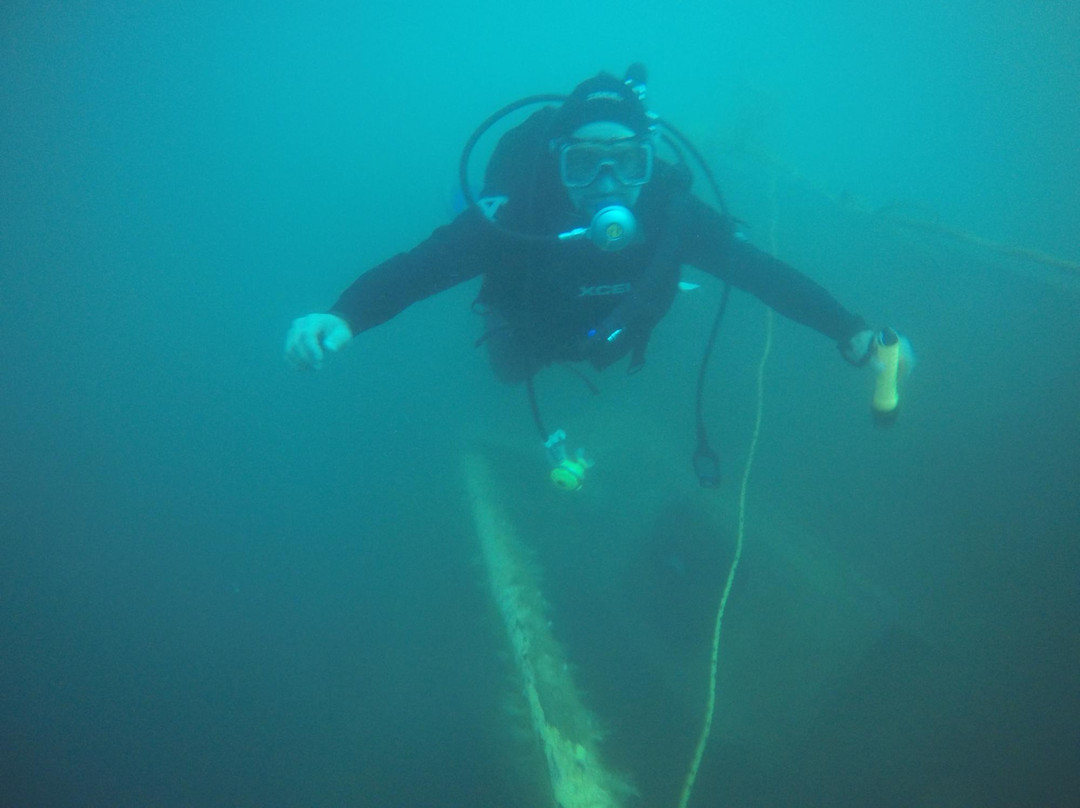 Baja Diving Adventures景点图片