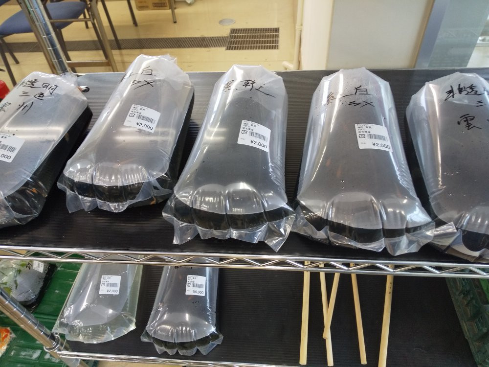 Sakura Farm-幸手市必去景点