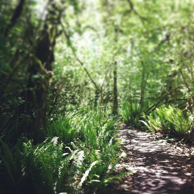 Tualatin Hills Nature Park景点图片