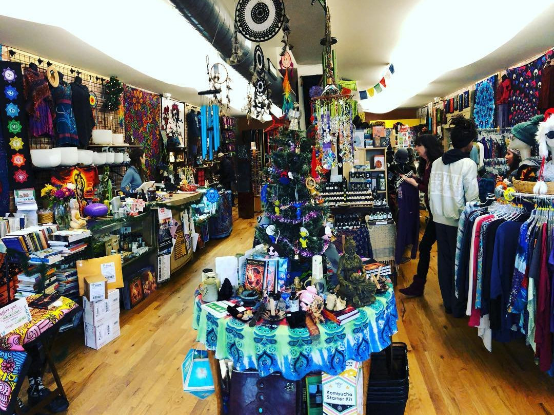 Instant Karma Asheville West-阿什维尔必去景点