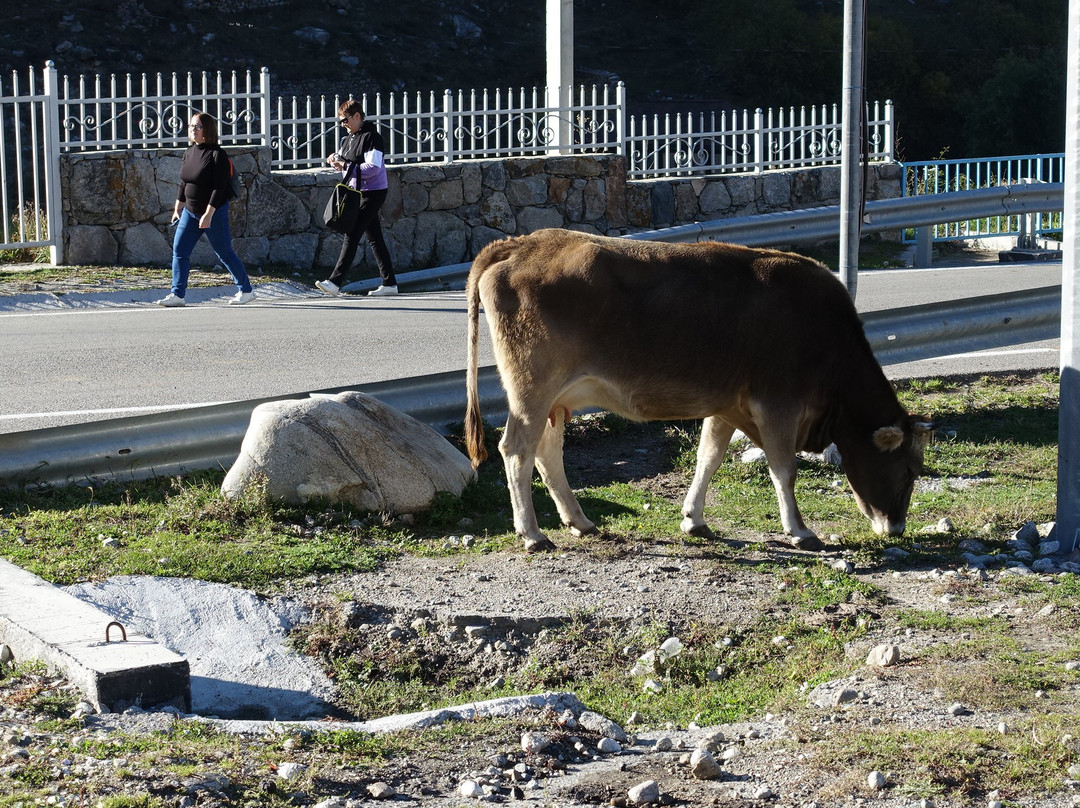 Verhnyaya Balkariya Tourisr Complex景点图片