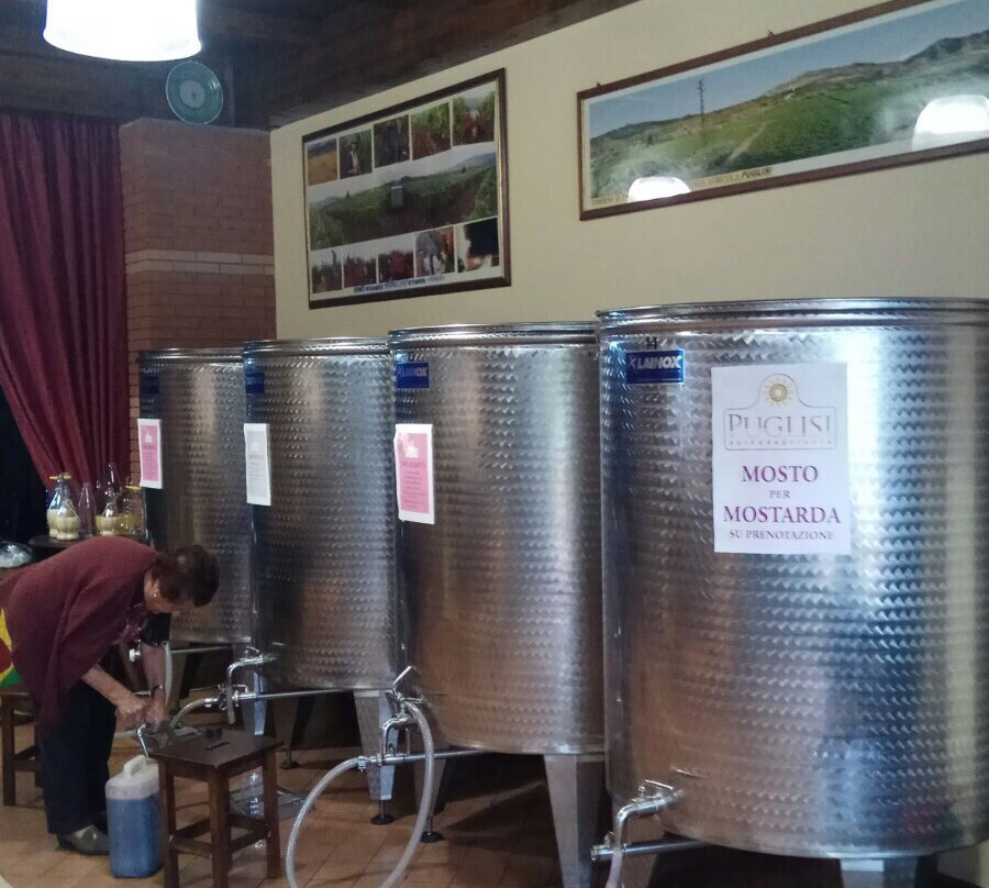 Azienda Agricola Puglisi-Zafferana Etnea必去景点