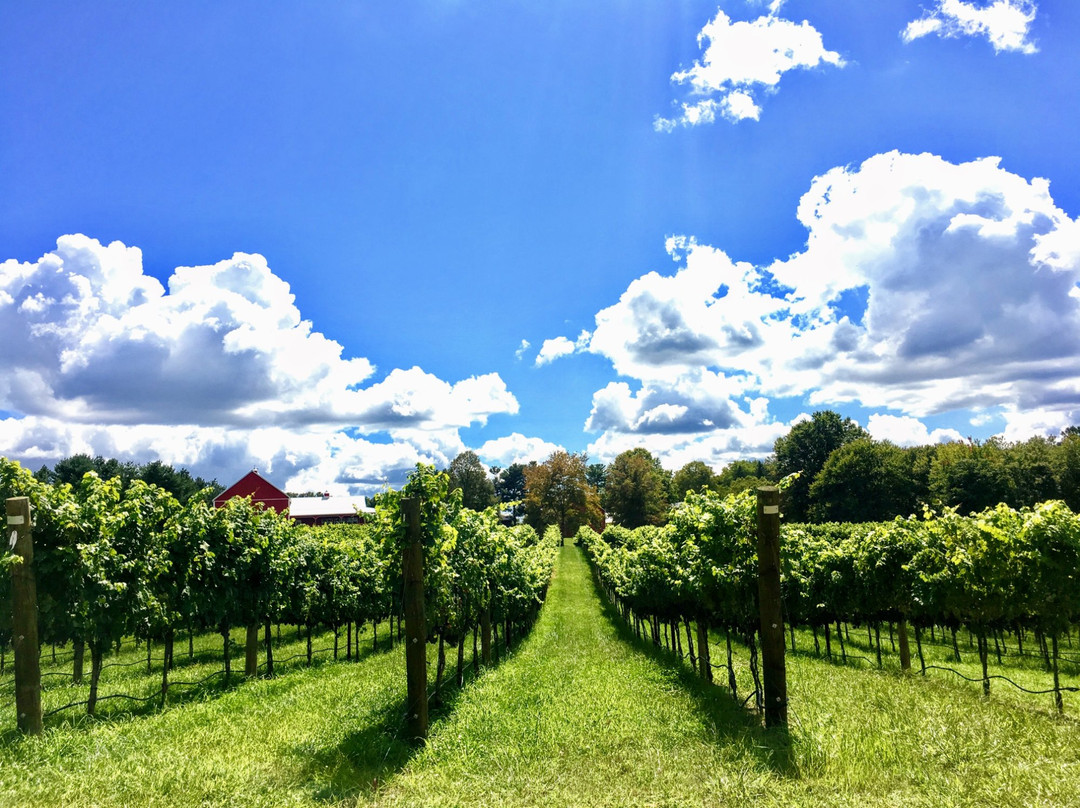 Robin Hill Farm & Vineyards景点图片