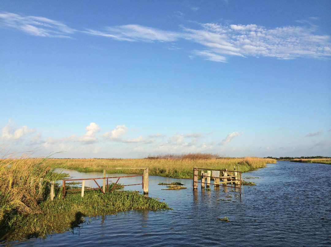 Bayou Woman Adventures景点图片