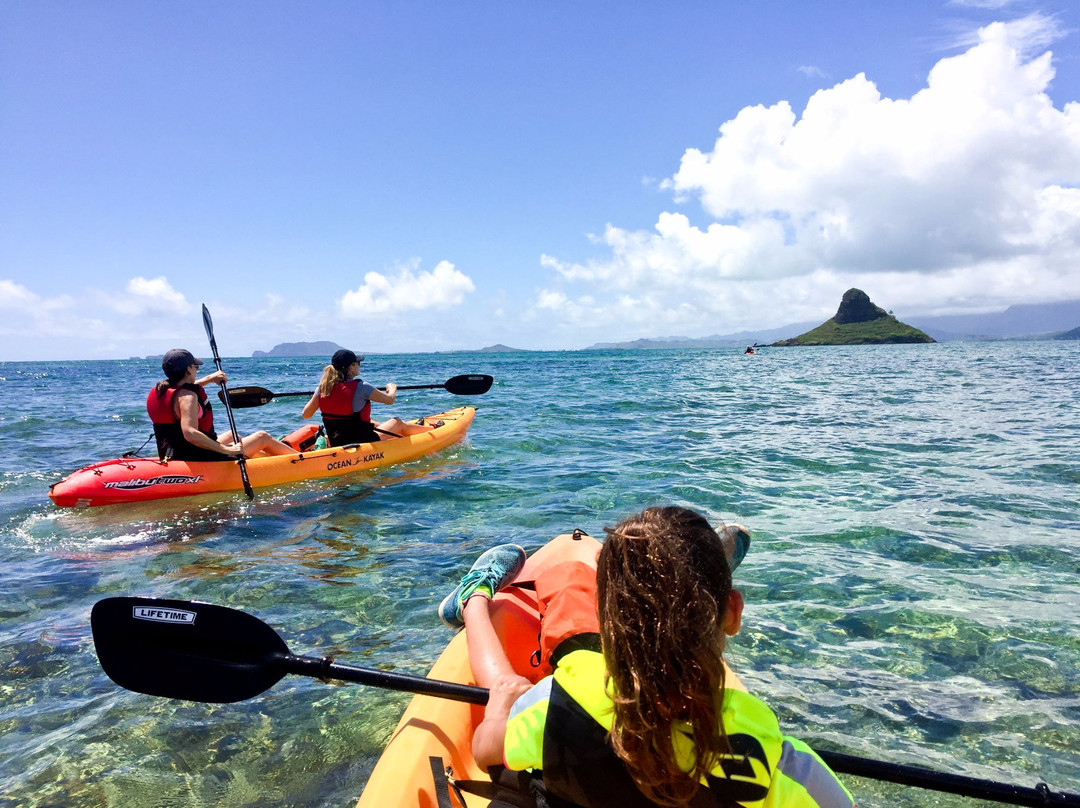 Active Oahu Tours景点图片