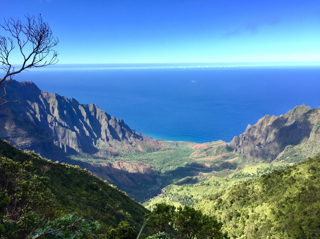 Pihea Trail