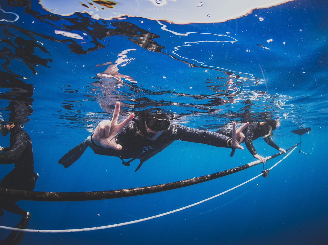 Freedive Hawaii景点图片