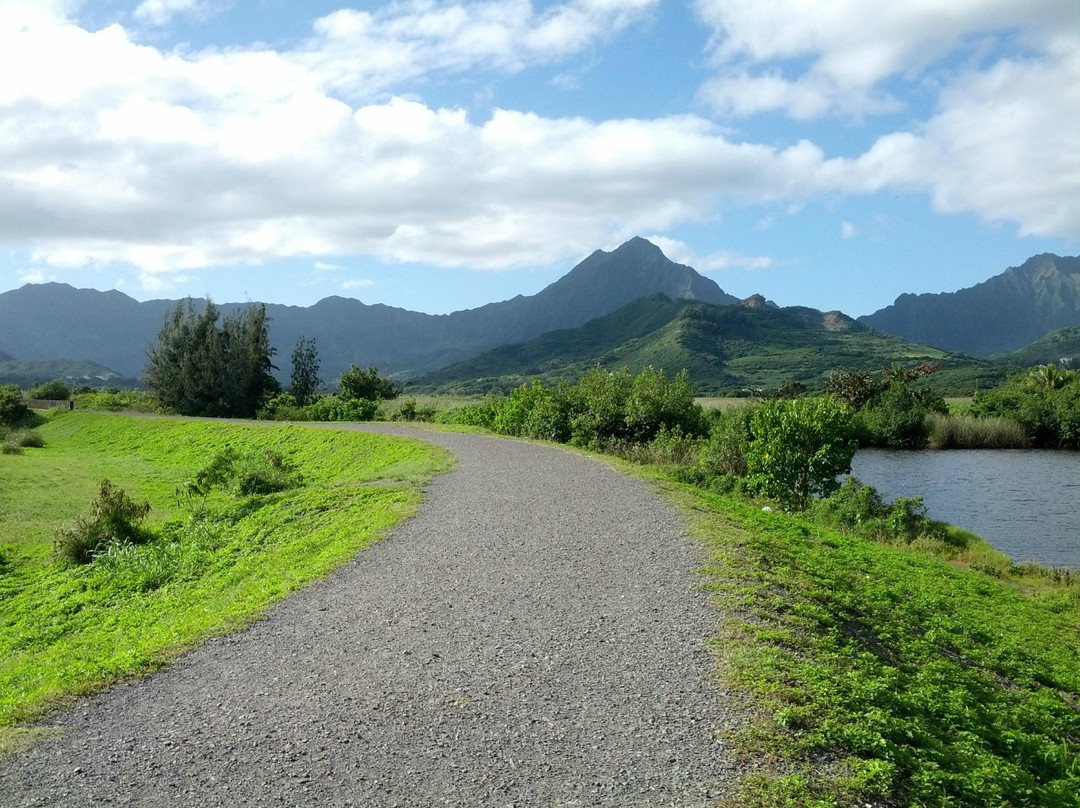 科纳旅游景点-Kawai Nui Marsh自然保护区