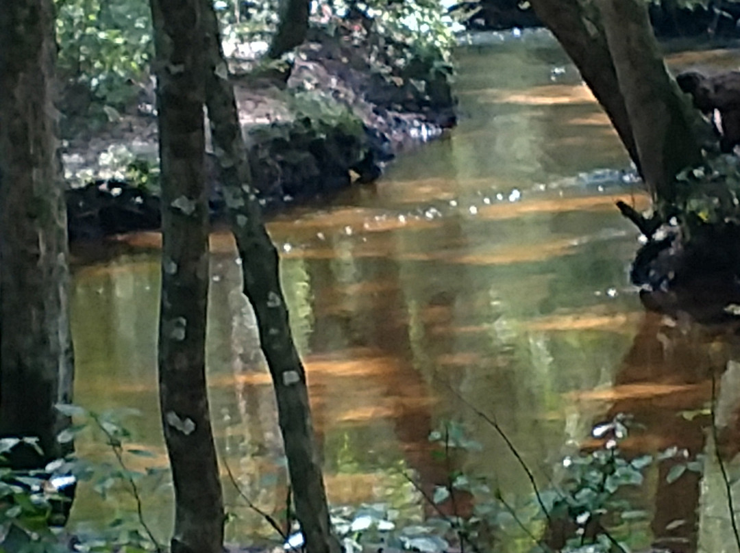 Harrington旅游攻略图片