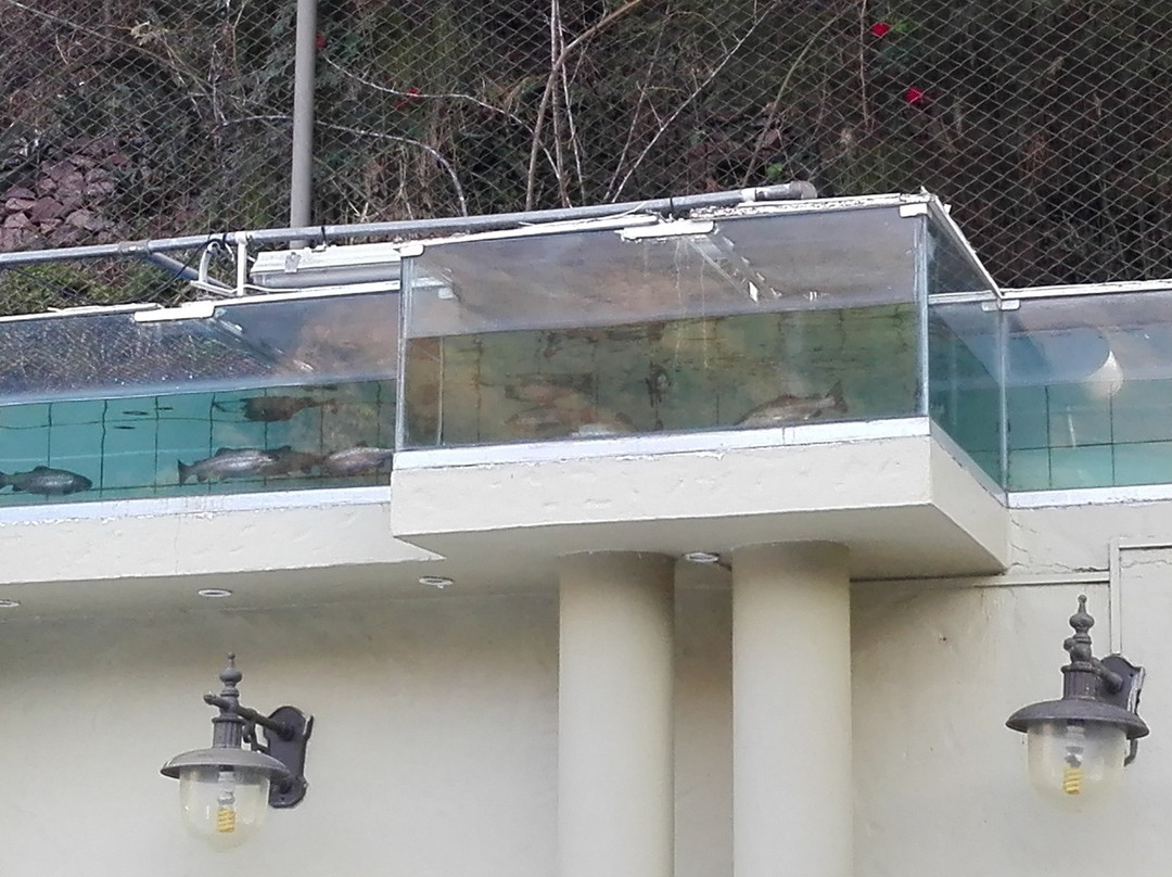 Hotel Spa Termas de Reyes主图