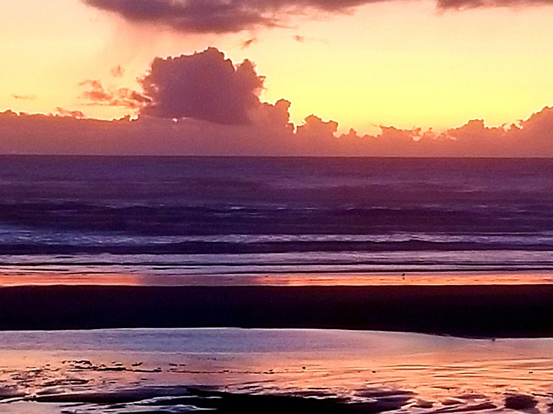 Driftwood Shores Resort & Conference Center主图