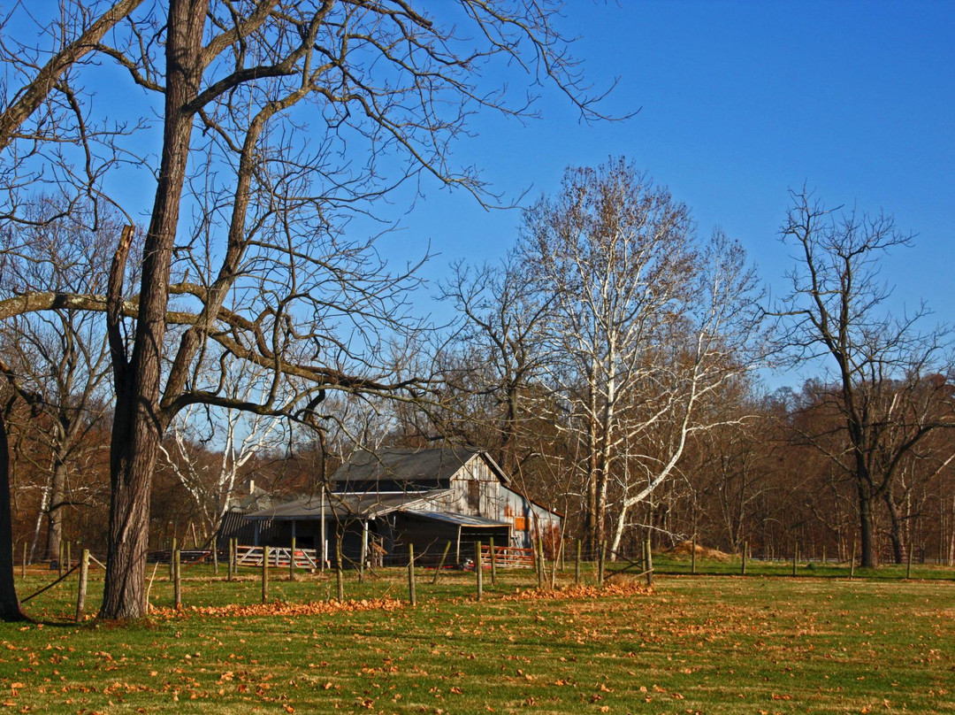 G. W. Henderson Plantation - Henderson Hall景点图片