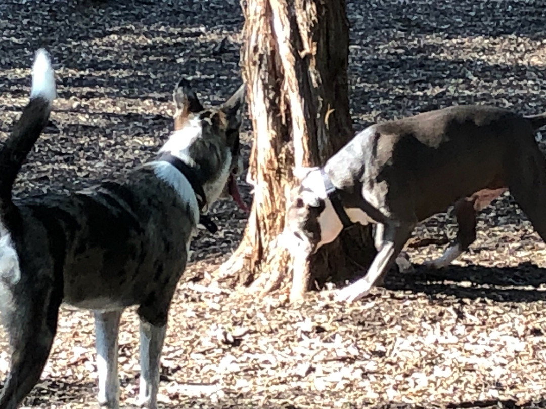 Phil Hardberger Park-圣安东尼奥市必去景点