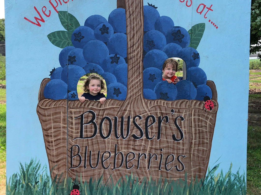 Bowser's Blueberries景点图片
