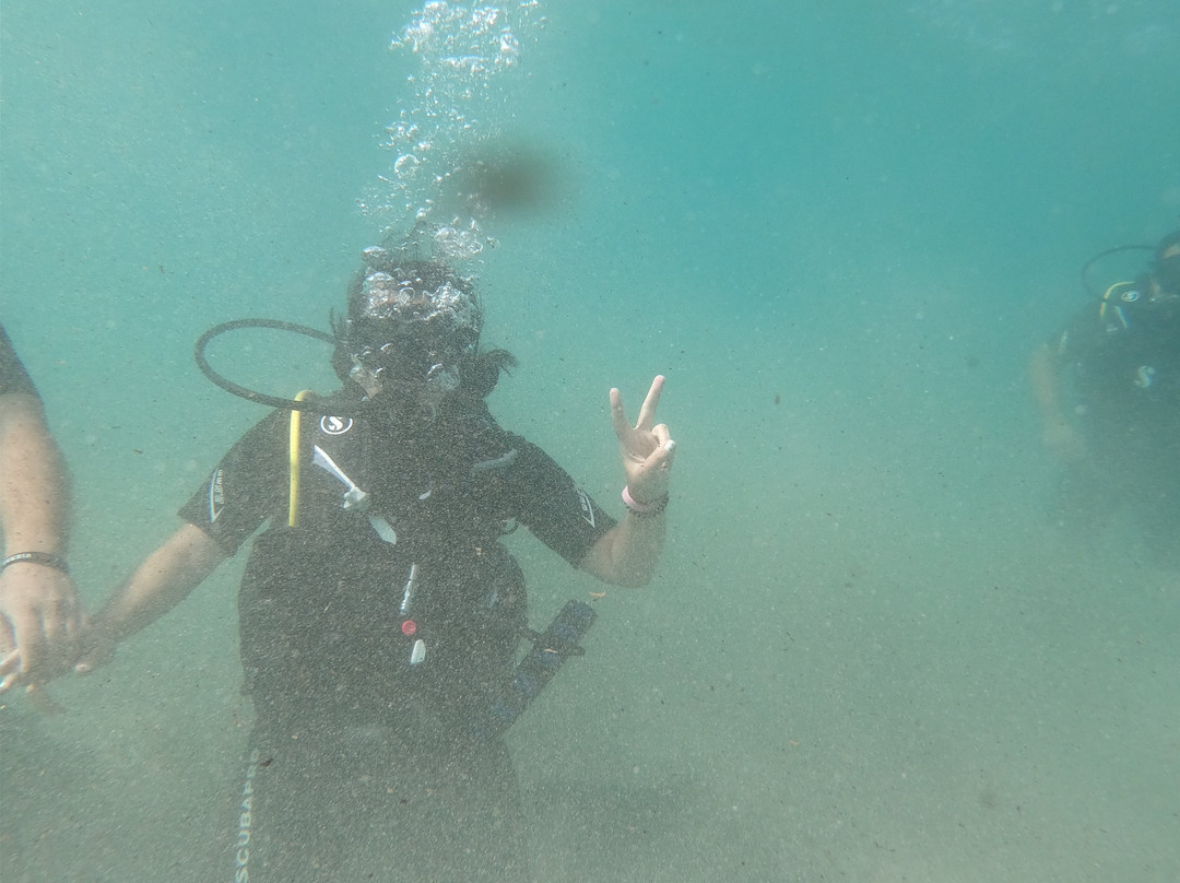 Go Scuba Diving-Agia Marina必去景点