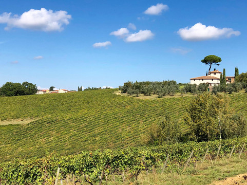 Bespoke Tuscany-佛罗伦萨必去景点