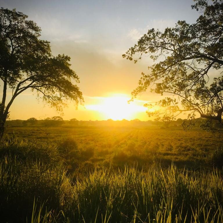 Wonderful Trip by DiDi-科伦坡必去景点