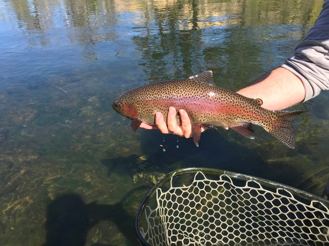 Drift On The Fly-Grass Valley必去景点