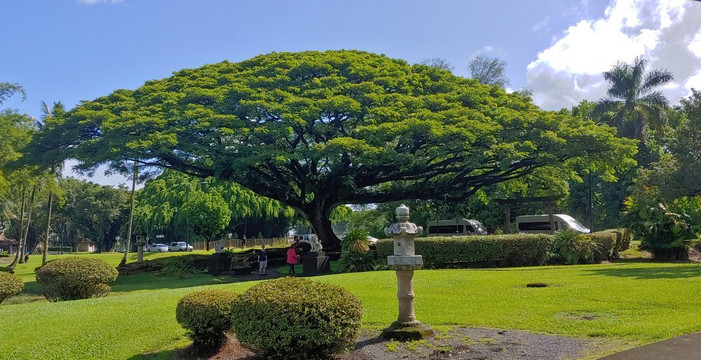 Ricky's Tours-希洛必去景点