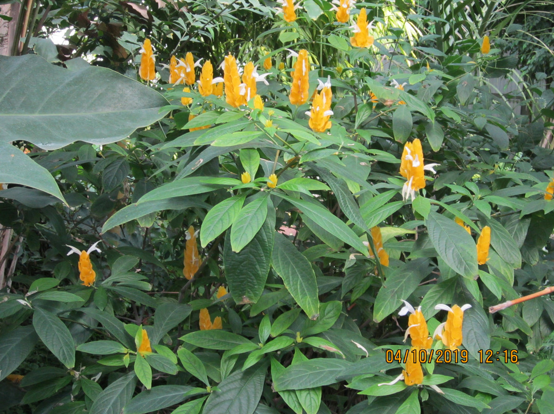 Donetsk Botanical Garden-顿涅茨克必去景点