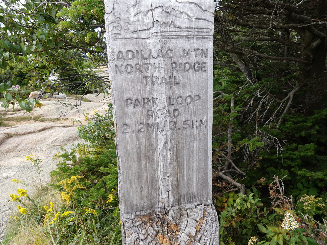 Cadillac Mountain North Ridge Trail景点图片