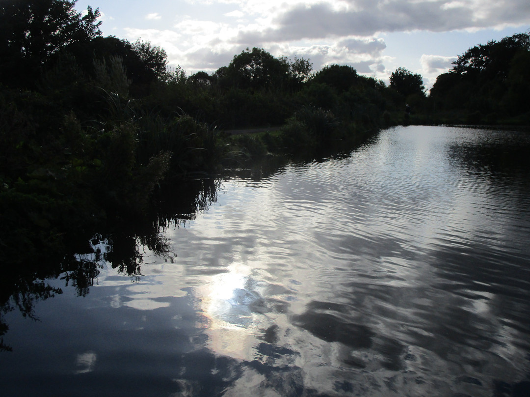 Shaftesbury Park and Carrickfergus Mill Ponds景点图片