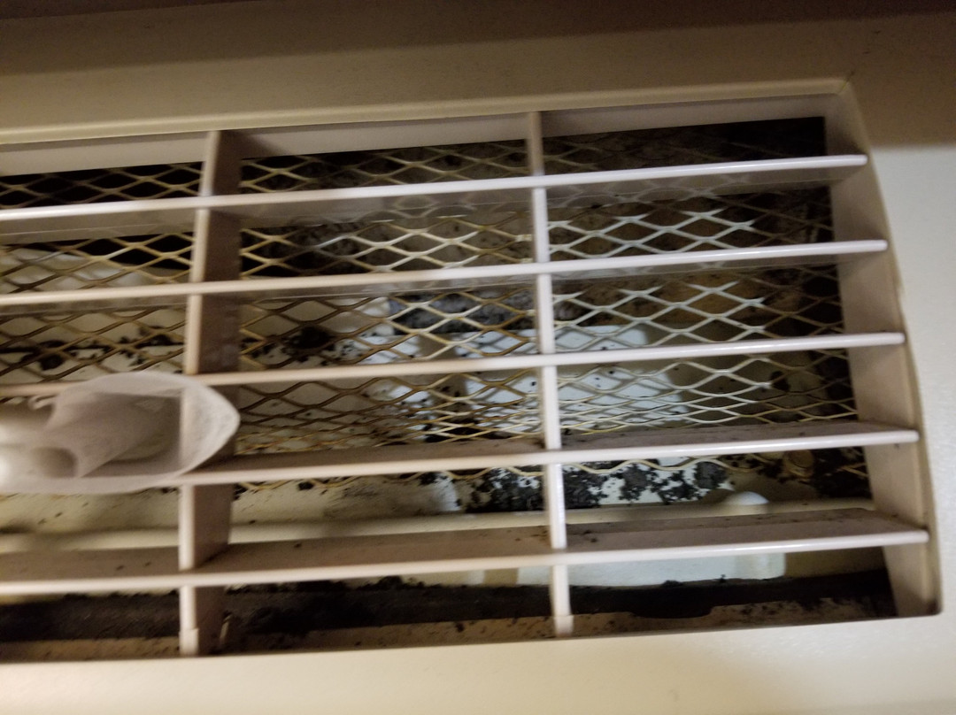 Microtel Inn & Suites By Wyndham Manistee主图