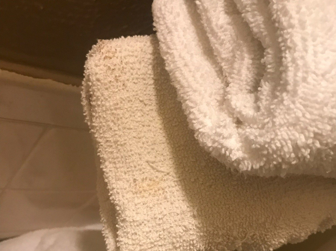 Hico Hills Inn主图