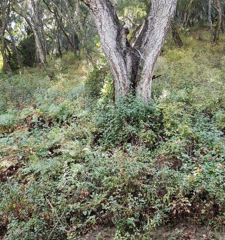 Gopher Glen Farms景点图片