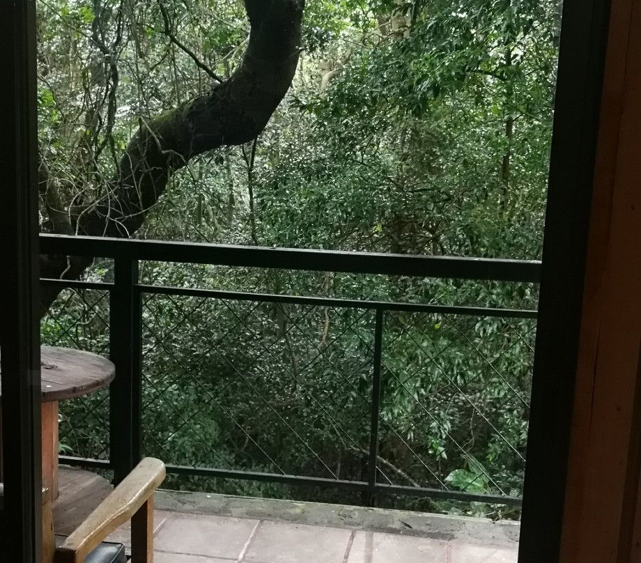 Forest Dreams & Manakin Lodge主图