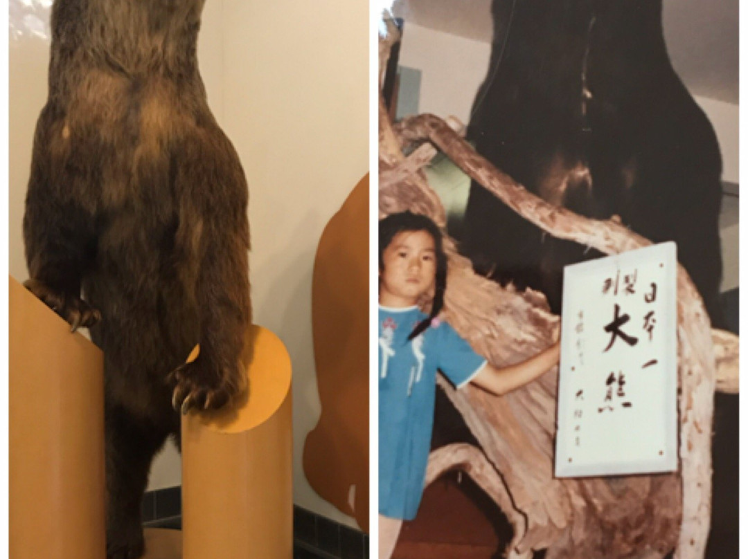 阿寒湖畔生態博物館中心-钏路市必去景点