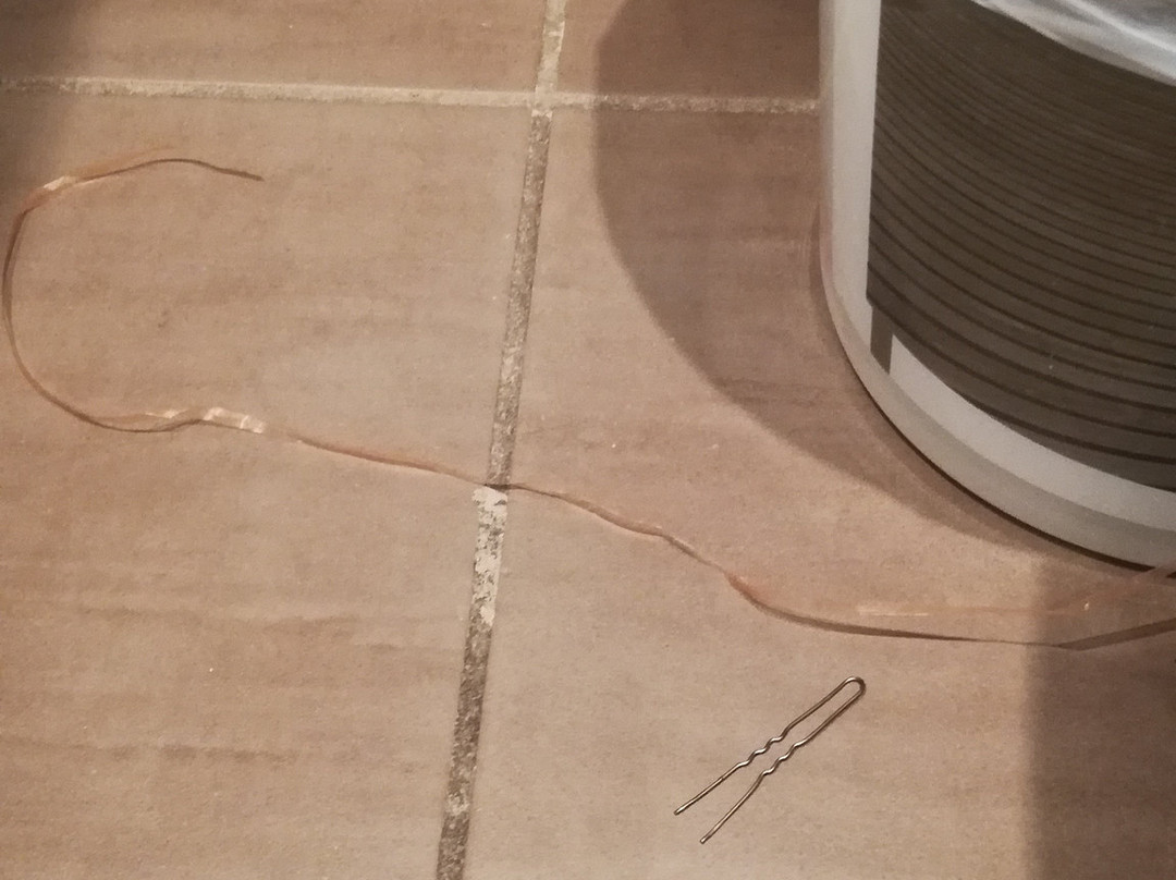 Hotel les Pielettes主图