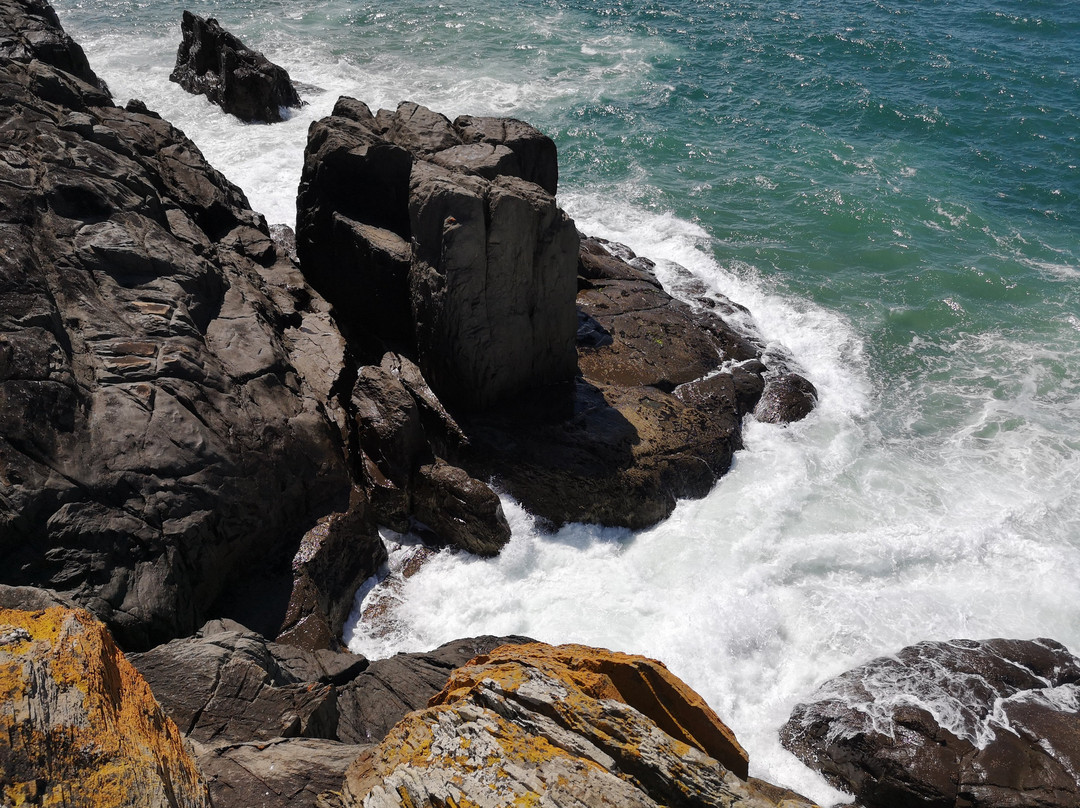 Bluff Park-Devonport必去景点