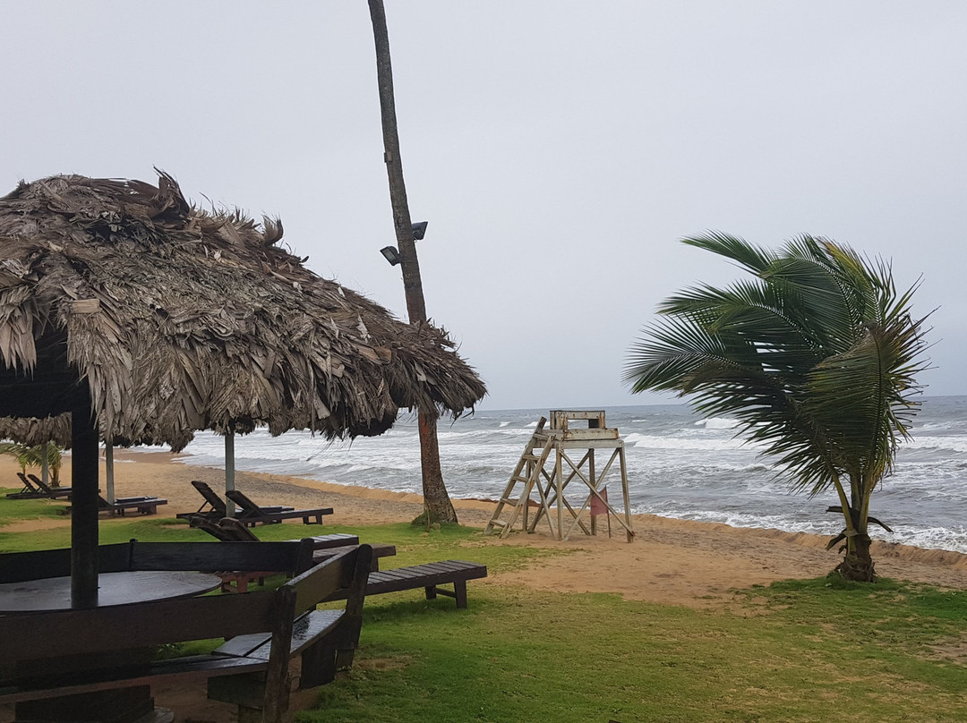 Tropicana Beach & Resort主图