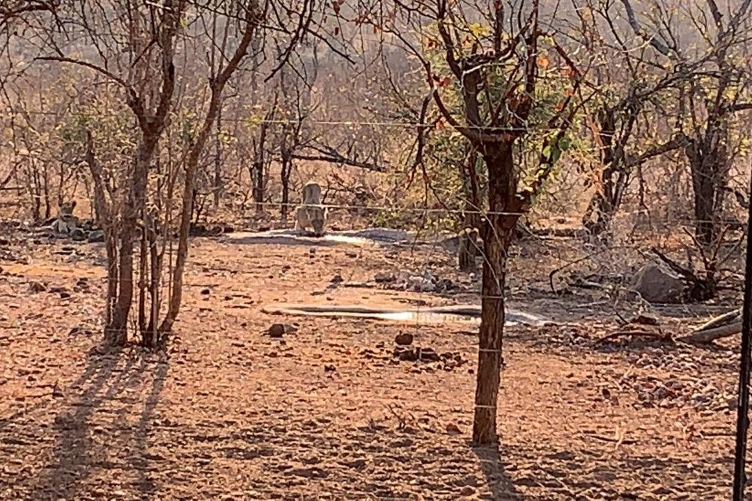 Mutsami Private Bush Lodge主图