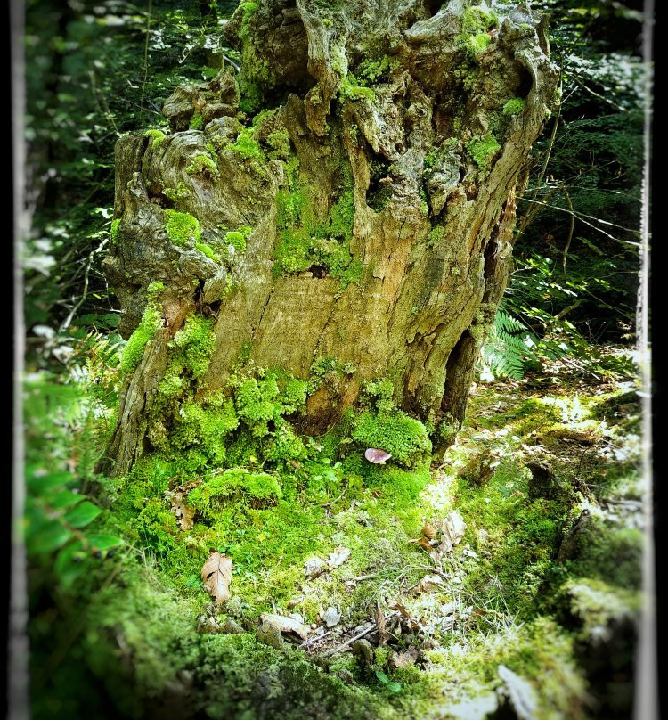 Molino del Infierno/Infernuko-Etxalar必去景点