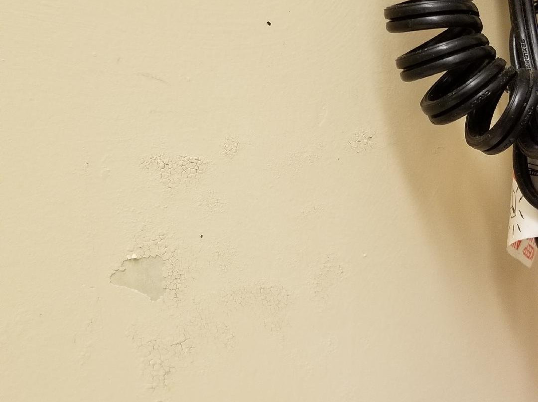 Baymont by Wyndham Gurnee主图