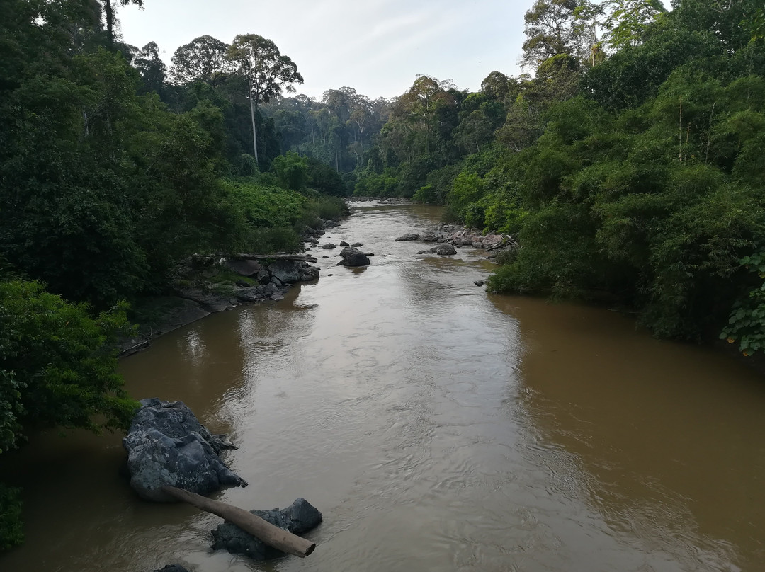 Inno Travel & Tour Services Sdn Bhd @ Sabah Holidays-亚庇必去景点