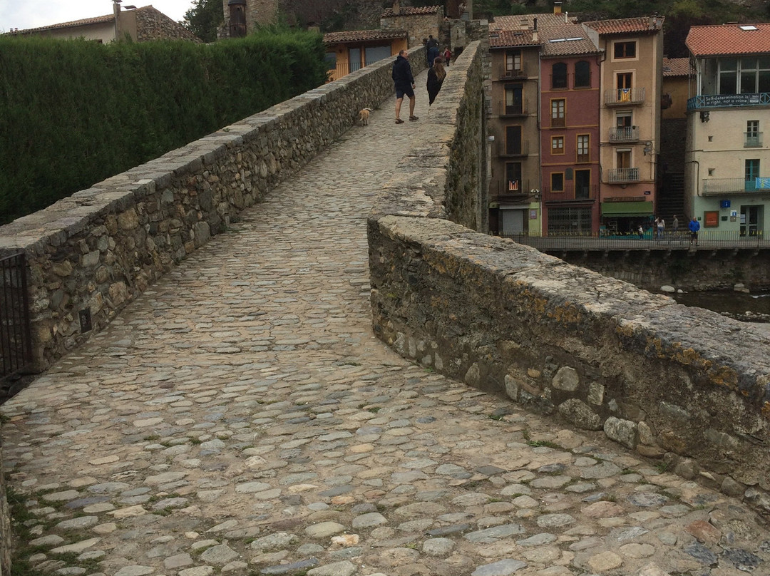 Hotel Camprodon主图