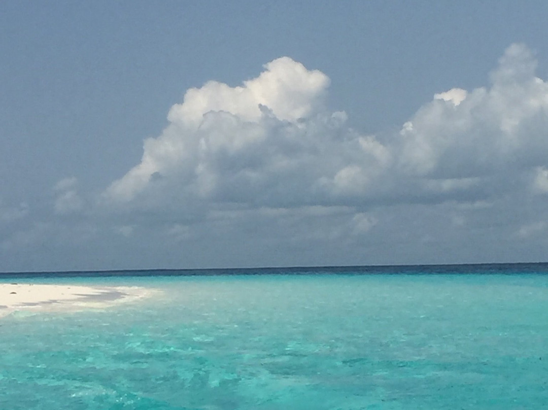 Jorjo Amani Zanzibar Tours-桑给巴尔岛必去景点