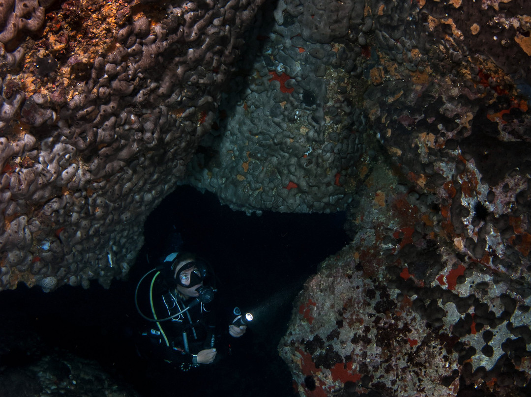 Athos Scuba Diving Center景点图片