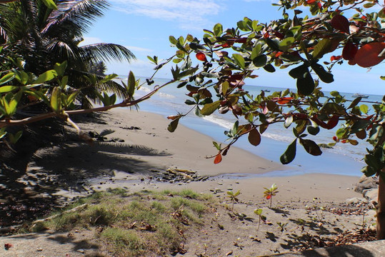 Gouyave Bay-Gouyave必去景点